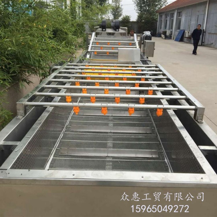 供應(yīng)氣泡清洗機茶葉香椿芽清洗機大棗圣女果清洗機雞爪清洗機