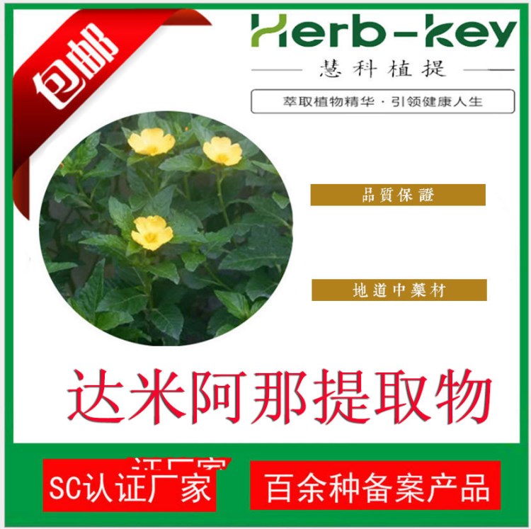 陜西慧科植物提取物  達米阿那提取物10:1 QS實力廠家