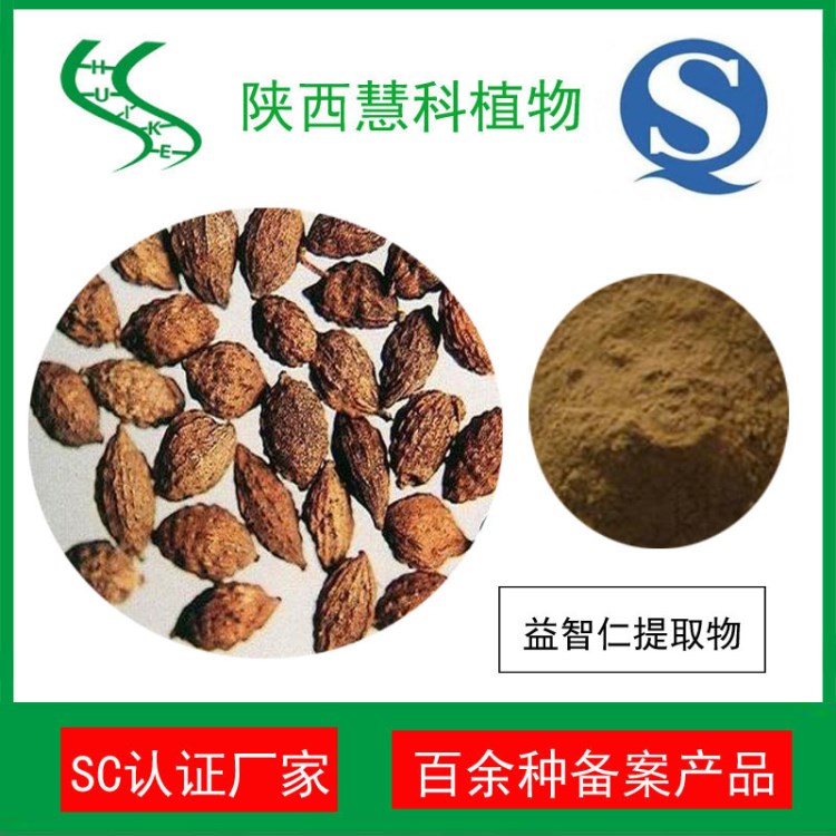 益智仁提取物10:1 SC廠家 益智仁粉 二十年提取廠家
