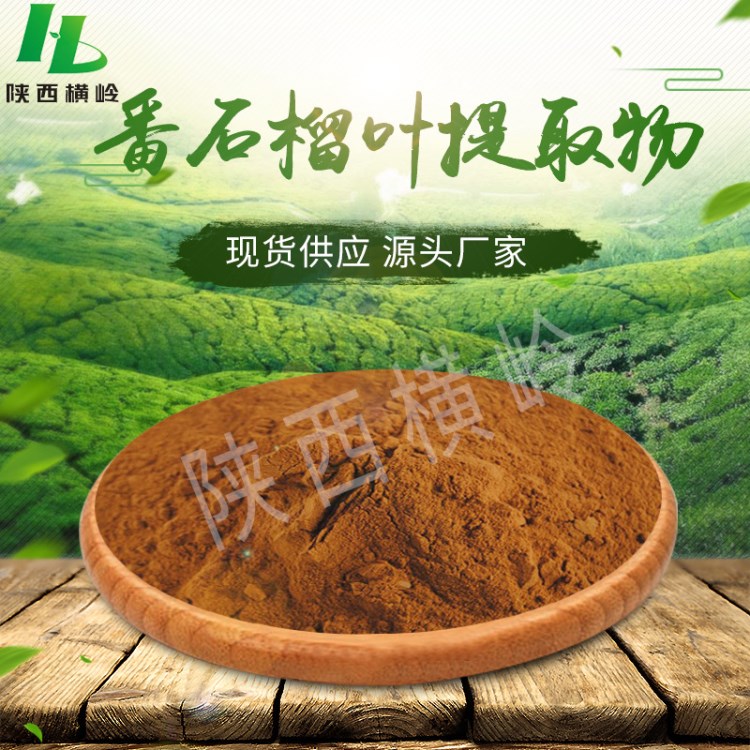 番石榴葉提取物 50:1高比例番石榴粉  含有番石榴黃酮  橫嶺現貨
