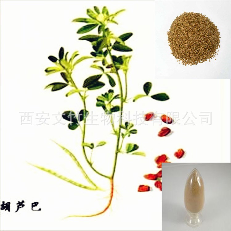 直銷葫蘆巴提取物10:1 香豆子/香草提取物 文竹生物