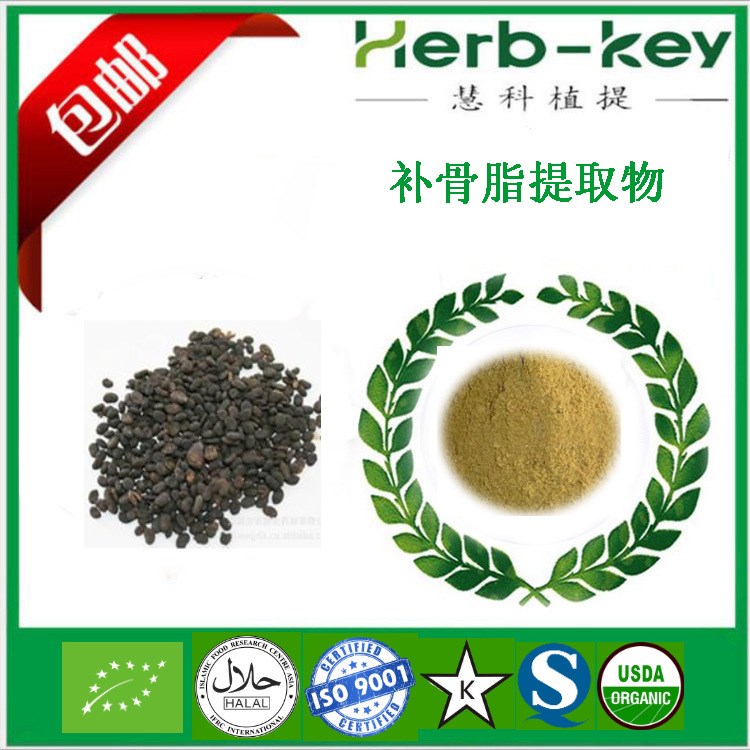 補骨脂提取物 10：1 慧科實力廠家 二十年提取經驗 現貨包郵