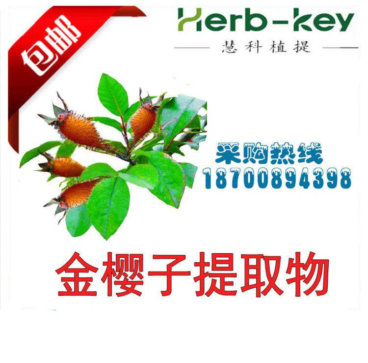 金櫻子提取物  廠家 金櫻子粉 陜西慧科