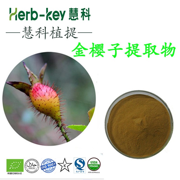 金櫻子提取物10:1 陜西慧科供應  廠家現貨直銷 量大從優 包郵