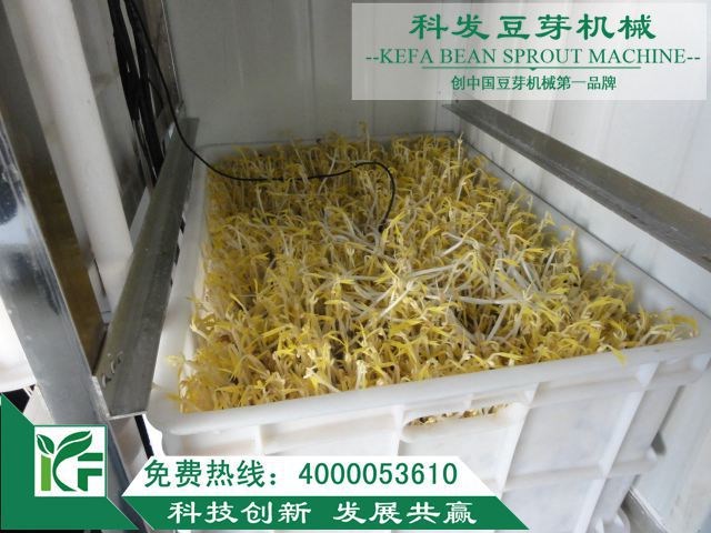 全自動箱式豆芽機斗士豆芽機科發(fā)豆芽生產(chǎn)線日產(chǎn)豆芽千斤以上