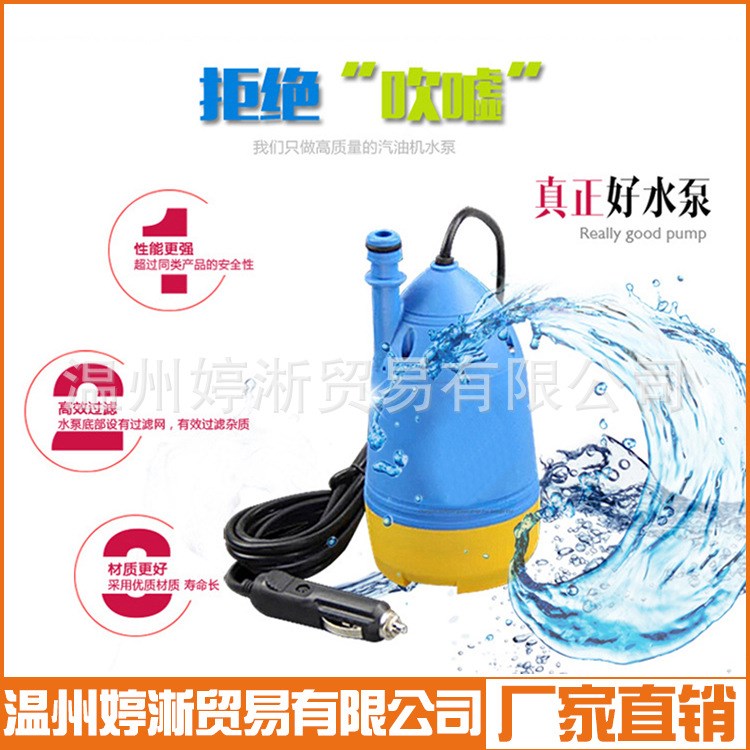 车载高压12V 家用的微型潜水泵洗车机清洗水枪220V电动洗车器批发