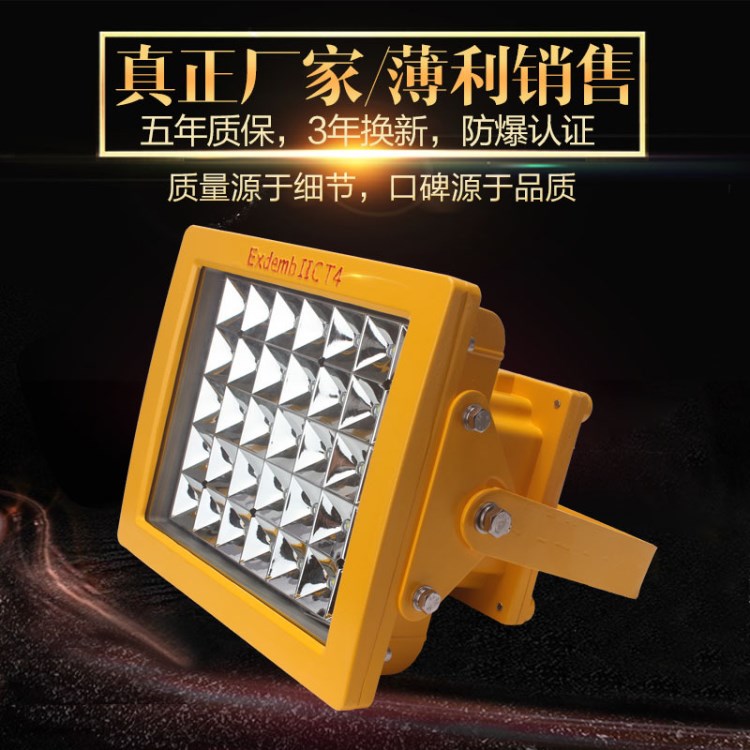 供應(yīng)CCD97 TCD580免維護(hù)LED防爆燈泛光燈 防LED爆投光燈40W-200W