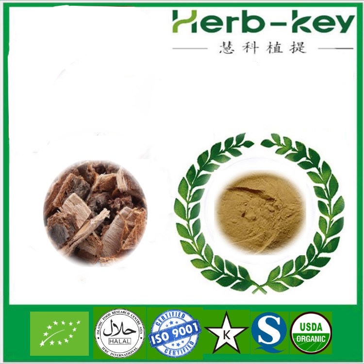 榆樹皮粉 榆樹皮提取物 5:1 慧科廠家現貨直銷 歡迎采購 包郵