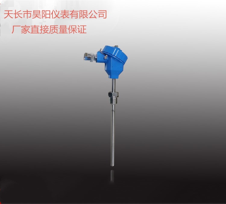 防爆隔爆熱電阻WZP-240 WZPK-241 PT100溫度傳感器 BT4防爆