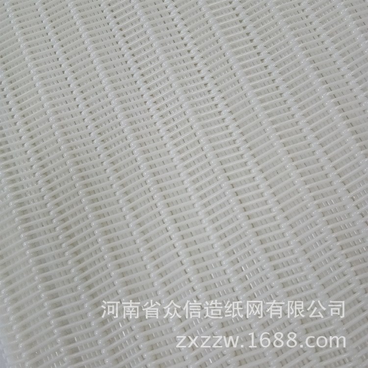 實拍 螺旋網(wǎng)聚酯 食品 醫(yī)網(wǎng)帶 批發(fā)