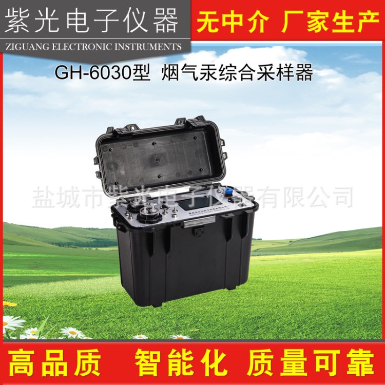 紫光电子仪器直销GH-6030型烟气汞综合采样器