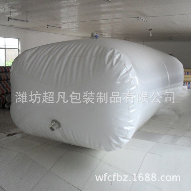 廠家直銷(xiāo)pvc軟體集裝袋 加工定制枕型噸袋 批發(fā)飲用水水袋