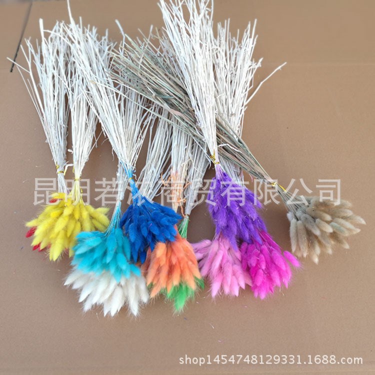 兔尾草干花天然干花仿真花永生花狗尾巴草拍攝道具