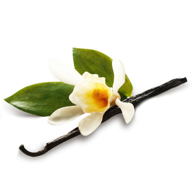 vanilla马达加斯加香草棒香草豆荚香荚兰豆香料调味品约100g