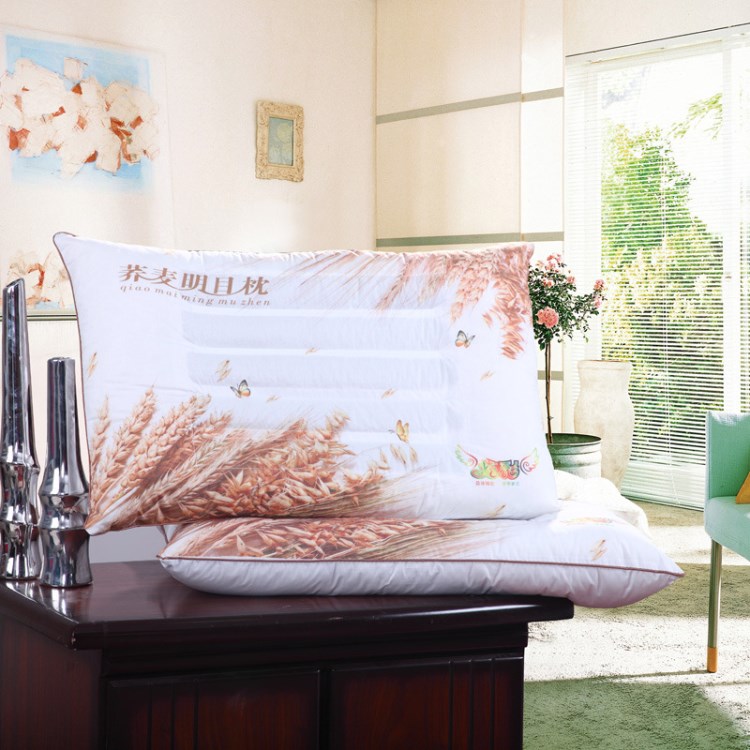 枕頭品蘭家紡印花藥包枕心頸椎保健枕芯批發 雙人枕枕頭批發