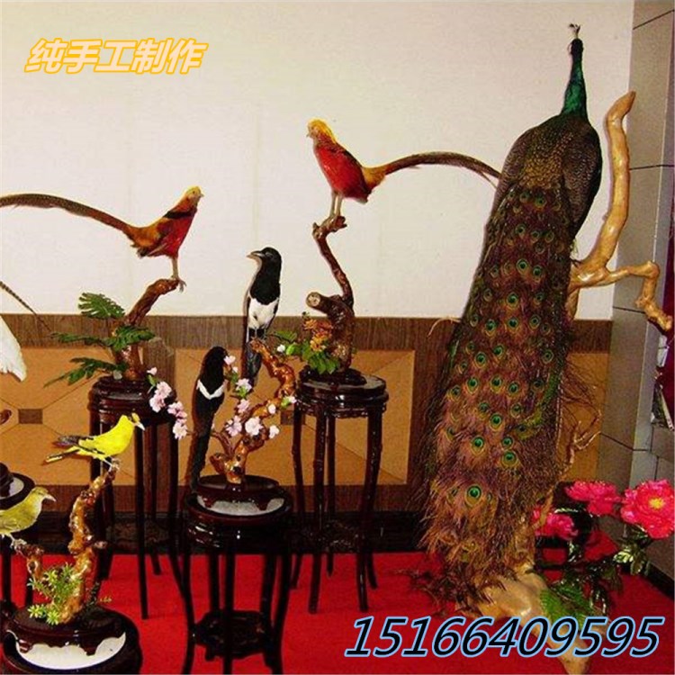 動(dòng)物仿真標(biāo)本制作，梅花鹿標(biāo)本，紅腹錦雞標(biāo)本，孔雀標(biāo)本手工。