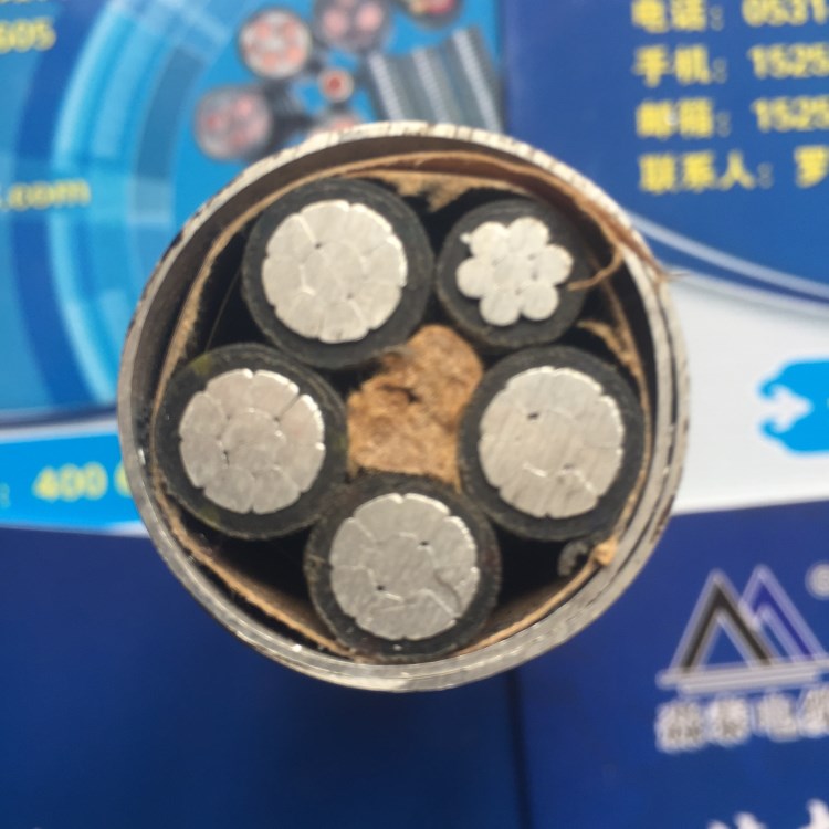 YJLHV22-4*35+1*16鋁合金電纜 電線電纜規(guī)格型號表 電線電纜價格
