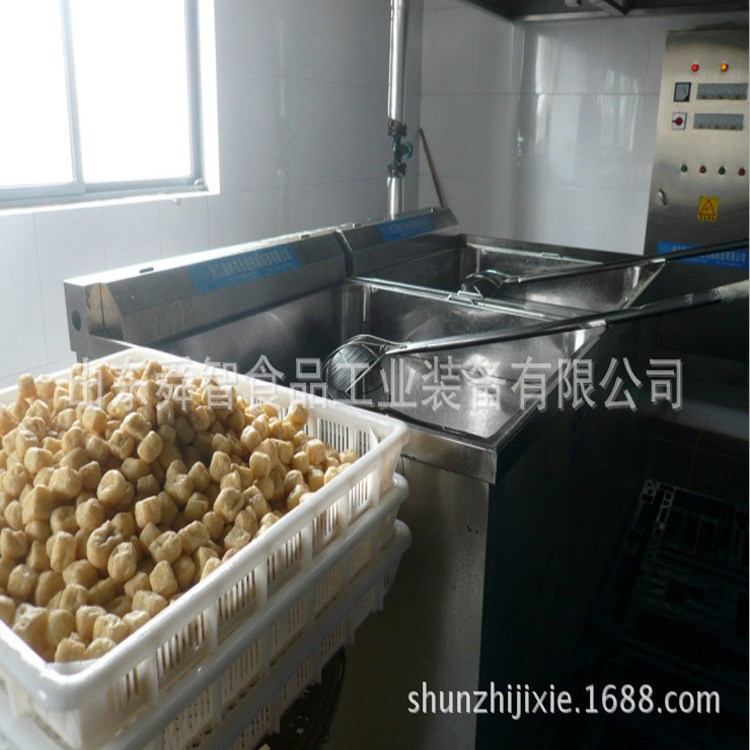 雞爪小型油炸設備 油條油炸機 電加熱小型油炸設備 廠家直銷