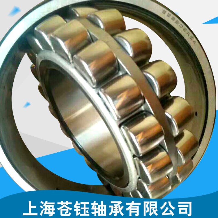 廠家直銷NSK原裝軸承22315CDE4/W33 CAK E CC E EJA CDE4 E