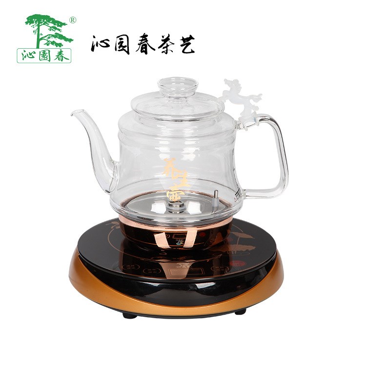 茶爐電茶爐多功能茶爐自動上水茶具電水壺玻璃水壺廠家直銷