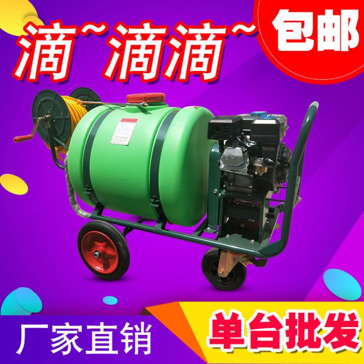 手推式噴霧器打藥機果園園林除蟲噴藥機養殖消毒機汽油打藥車直銷