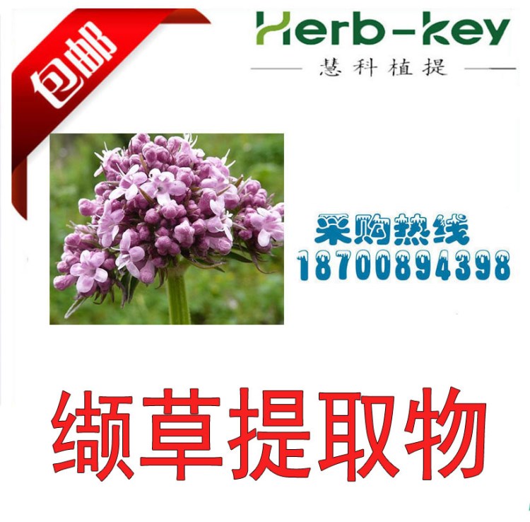 纈草提取物10:1  TL C 植提廠家長期供貨 包郵 陜西慧科