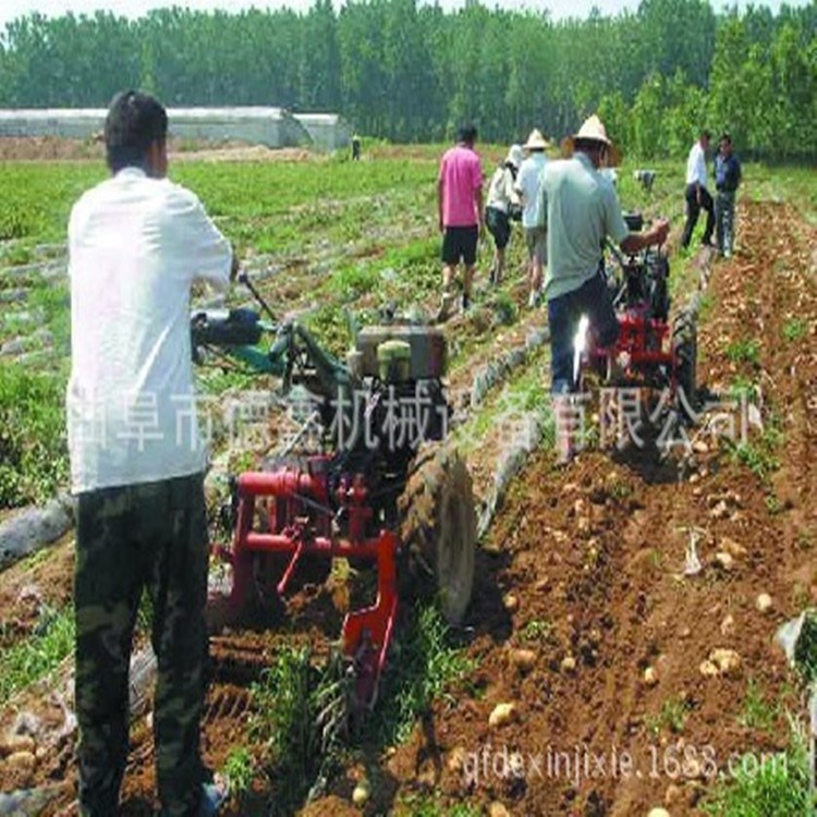 手扶牽引薯類收獲機 地瓜馬鈴薯收獲機 多功能地下根莖作物收獲機
