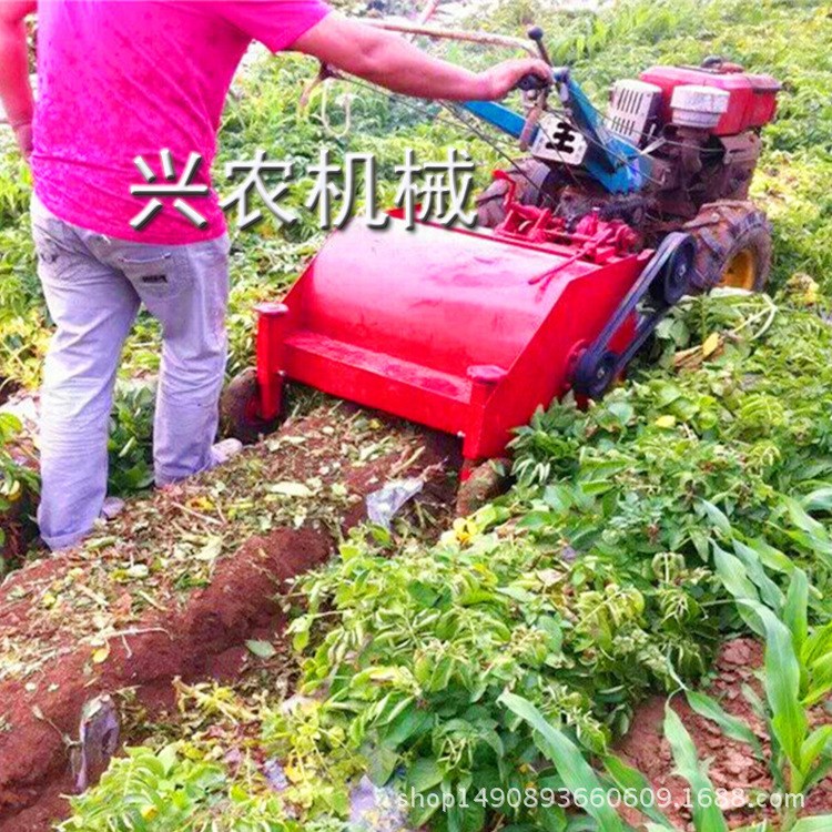 馬鈴薯機(jī)器 刨洋芋機(jī)器 花生地瓜馬鈴薯類收獲機(jī)