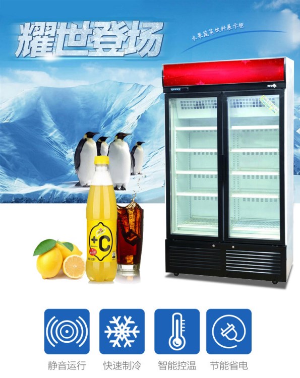 兩門風(fēng)冷 低溫展示柜 風(fēng)冷展示柜速凍柜肉食冷凍柜牛奶低溫展示柜