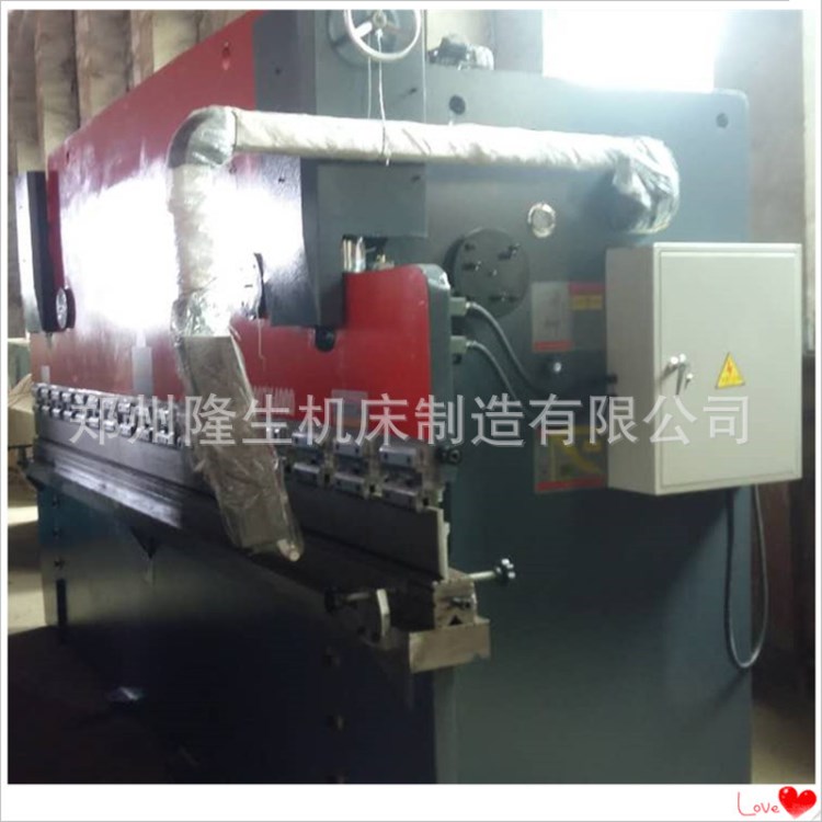 廠家可定制數(shù)控擺式卷板液壓剪板機 不銹鋼剪板機 數(shù)控擺式剪板機