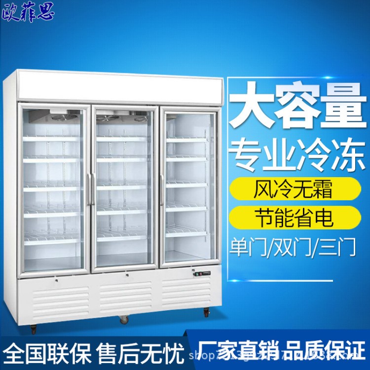 歐菲思冷凍展示柜商用雪糕冷凍柜立式三門(mén)海鮮柜冰淇淋速凍柜風(fēng)冷