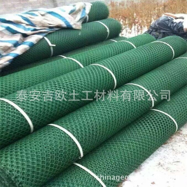 丽水绿化土工网厂家 CE141网孔60x60 边坡防护、水库库底加固