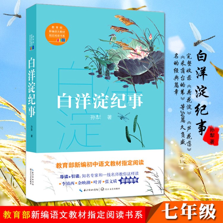 白洋淀紀事孫犁著長江文藝出版社 七年級語文課本推薦閱讀書目 新