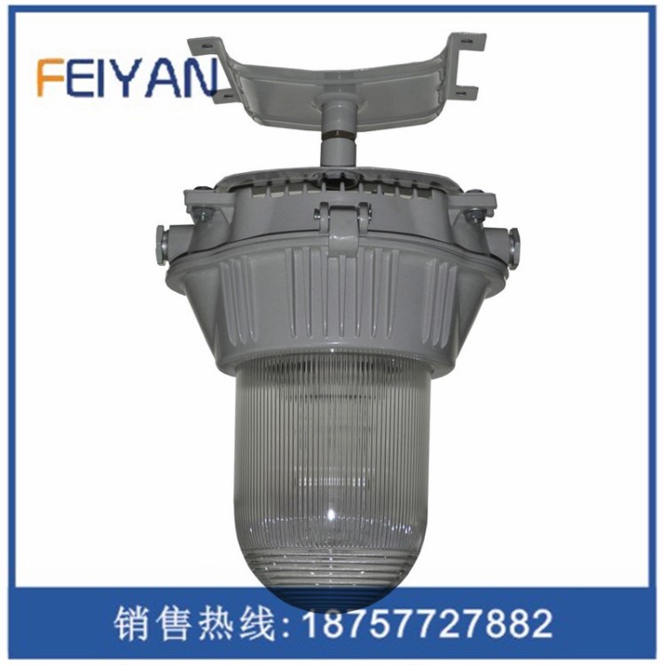 供應(yīng)ZY8620節(jié)能防眩泛光燈ZY8600-40W