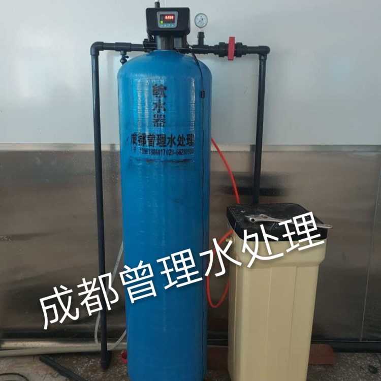 原水处理设备 自动软水器 2T/H处理量 曾理水处理14年水处理经