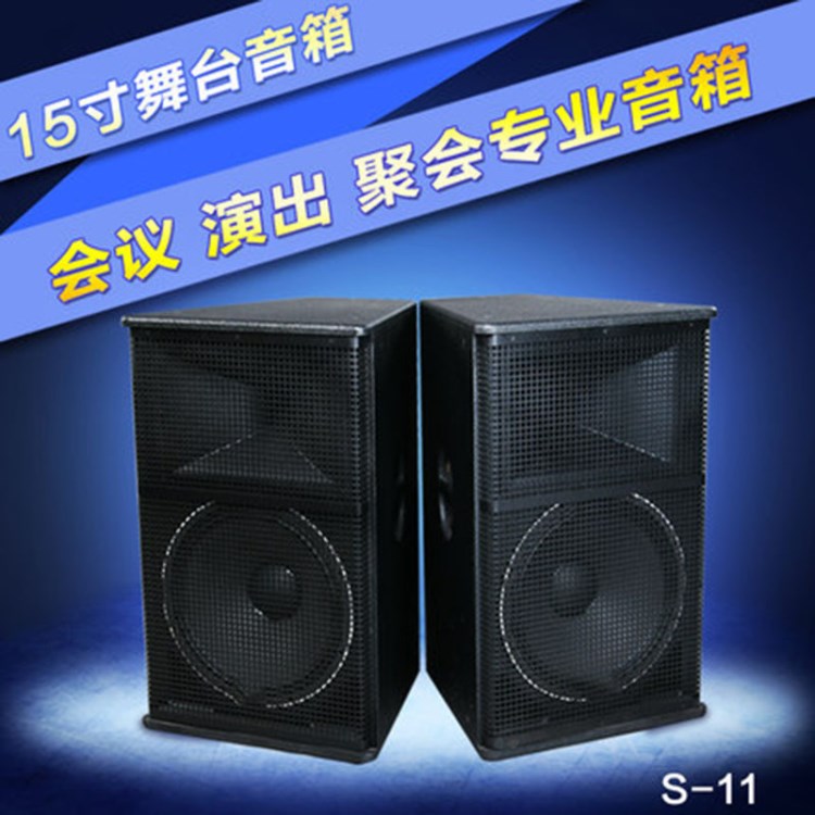 SNSIR/申士 S-11單15寸舞臺(tái)演出 會(huì)議音箱 KTV音響套裝設(shè)備