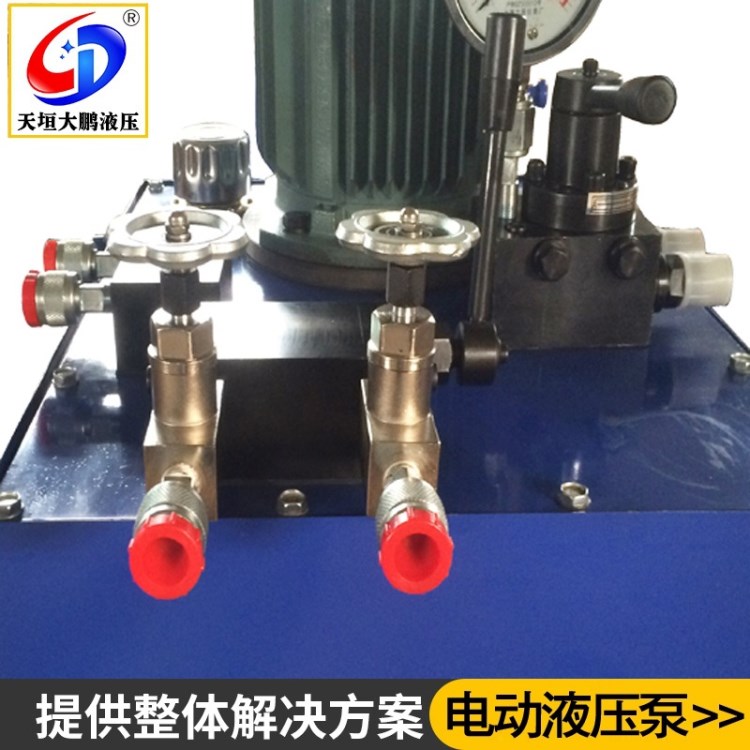 廠家直銷DSS電動液壓泵 手動換向液壓電動泵 63MPa超高壓電動泵站