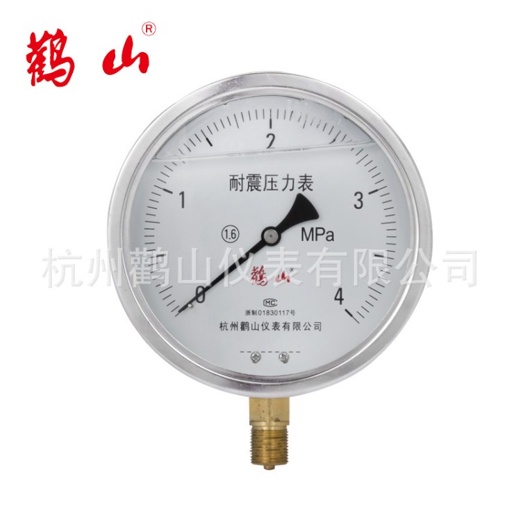 YN150耐震壓力表  YN系列壓力表 充油表 充硅油 充甘油 廠家直銷