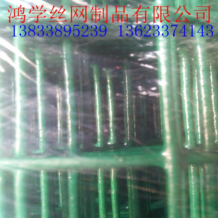 家用養(yǎng)殖鐵絲網(wǎng) 散養(yǎng)雞浸塑電焊網(wǎng) 批發(fā)綠色護(hù)欄網(wǎng)圍欄廠家直銷