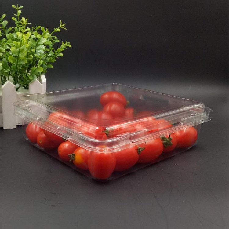 新品吸塑托盤 蔬菜水果盒 一次性蛋糕塑料包裝 透明 食品級PET