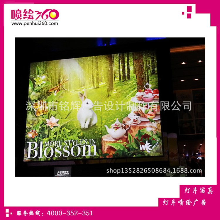 深圳戶內(nèi)外燈片寫真定做 超薄寫真燈箱廣告畫面制作 燈片廠家制作