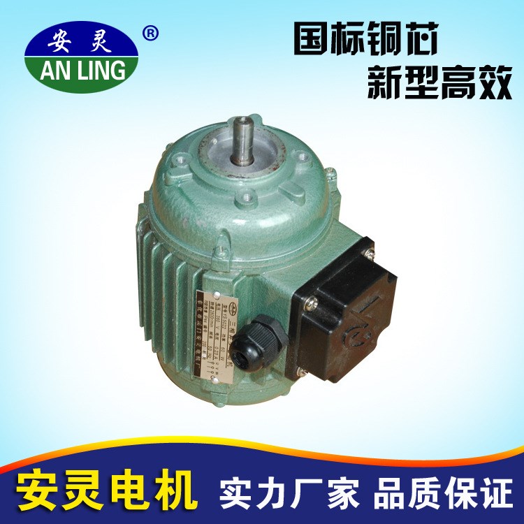 供應(yīng)船用電機(jī) ys50-60w系列船用三相異步電動(dòng)機(jī) 現(xiàn)貨供應(yīng)