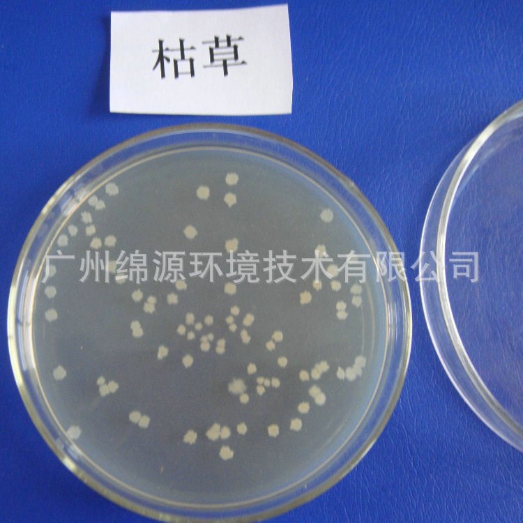 枯草芽孢桿菌廠家展示枯草芽孢桿菌 水產枯草芽孢桿菌