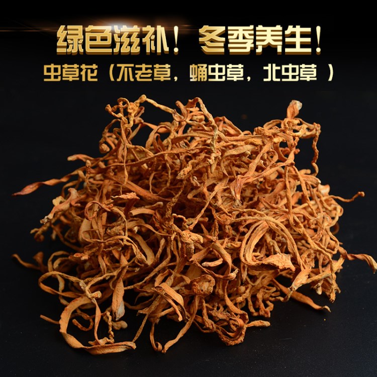 蟲草花批發(fā) 精選蟲草花 金蟲草蛹蟲草 養(yǎng)生北蟲草 250克