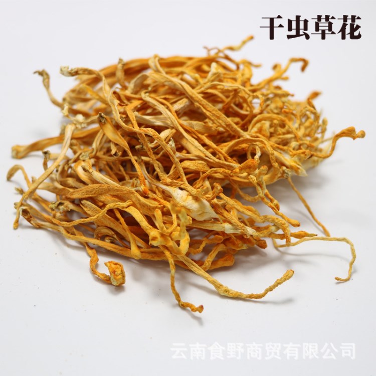 基地直銷云南土特產(chǎn)傳統(tǒng)滋補品養(yǎng)生食品北蟲草 干蟲草花 蛹蟲草