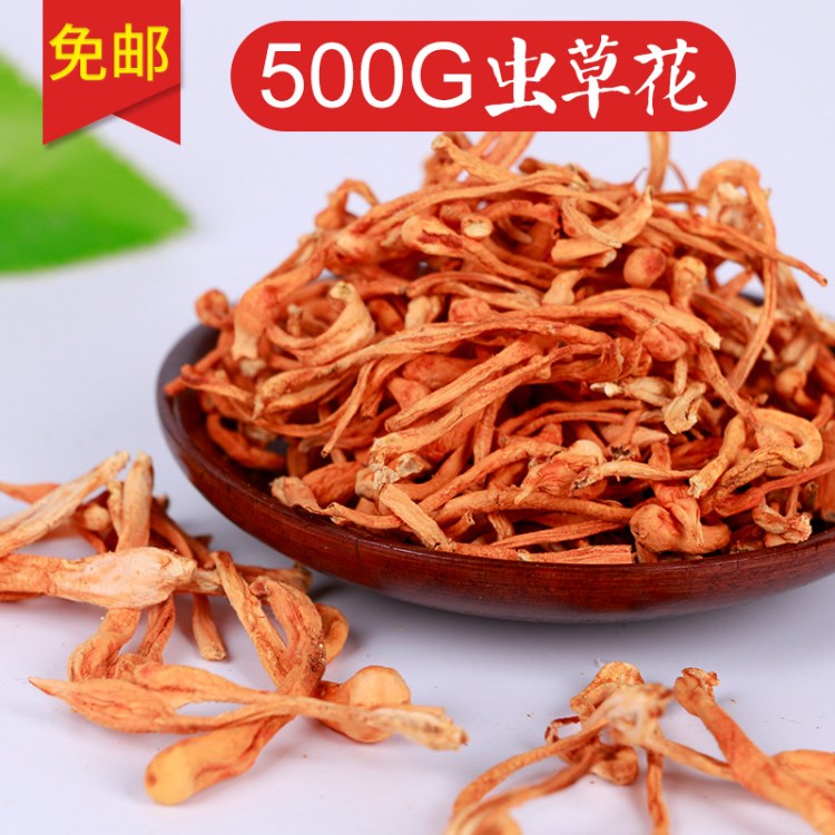 產(chǎn)地直銷金蟲草花 大孢子頭干蟲草花500g 批發(fā)北蟲草