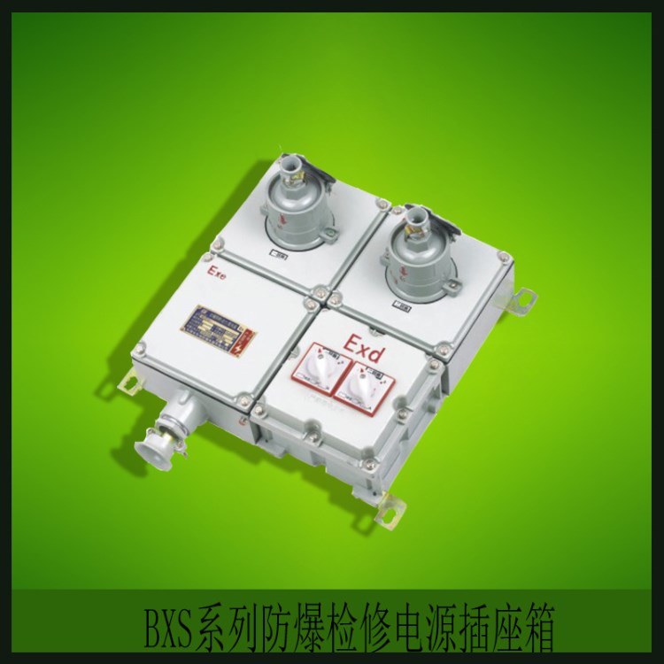 批發(fā)BXS系列防爆檢修電源插座箱 電控箱儀表箱接線控制箱規(guī)格多樣