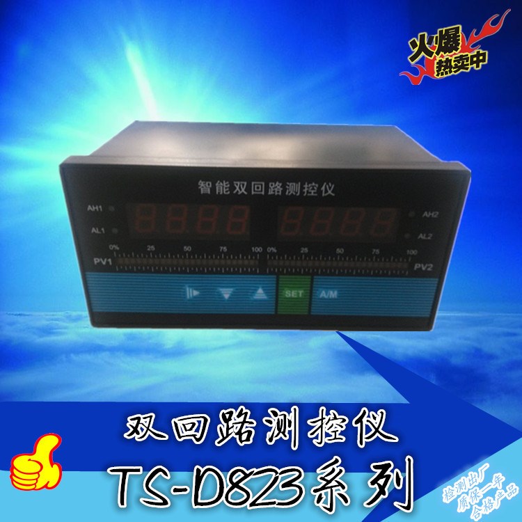 【上海亭山】智能橫式雙光柱顯示儀 報(bào)警儀 調(diào)節(jié)儀  智能數(shù)字顯儀