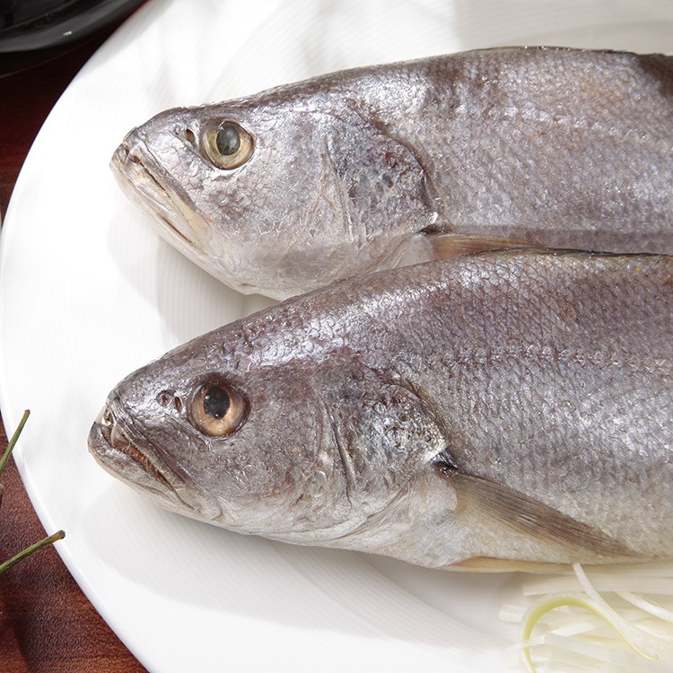 野生三牙黃魚   箱裝批發(fā)