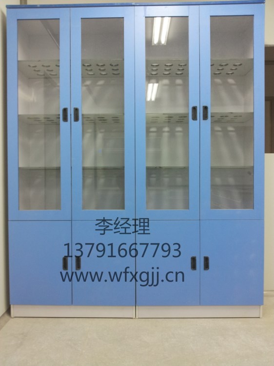 山東廠家定制實驗室器皿柜濰坊實驗室儲存柜全鋼器皿柜PP通風柜